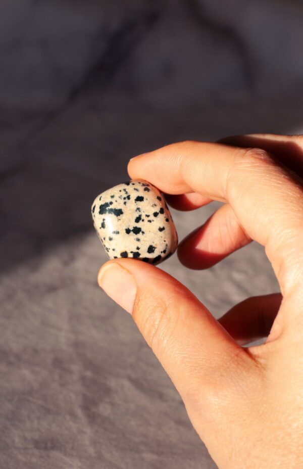 kiwi eller dalmatiner sten, lommesten